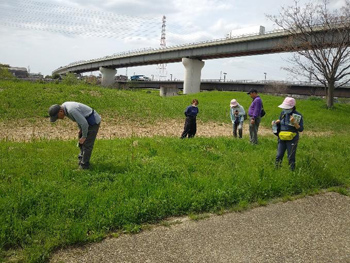 「石川自然クラブ」活動の様子：ゆっくり歩きながら植物観察