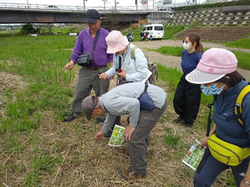 「石川自然クラブ」活動の様子：ゆっくり歩きながら植物観察