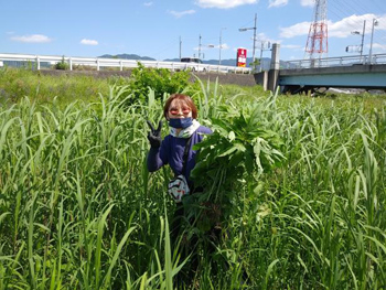 「石川自然クラブ」活動の様子：作業している参加者がピースサイン