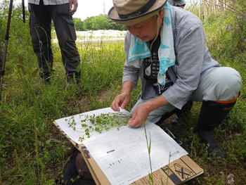 梅原講師のガイドによる植物解説