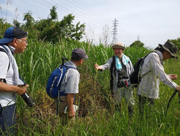 梅原講師のガイドによる植物解説
