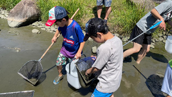 生き物を探す子供達
