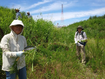 除草作業中の参加者さんたち