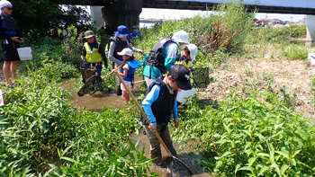 水路からの流れ込みの部分でガサガサしてみる参加者たち