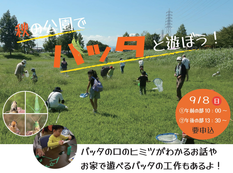 秋の公園でバッタと遊ぼう!　公園の原っぱでバッタとりをしよう バッタのヒミツのお話や工作もあるよ