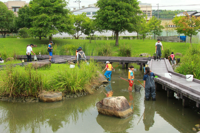 ため池の水抜き観察会