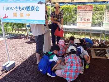 博物館前広場のテントの様子