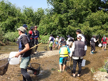 梅川の澄んだ水をじゃぶじゃぶと歩く
