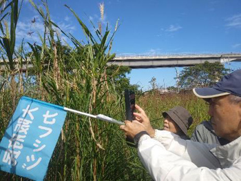 石川現地見学