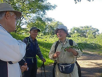 梅原講師の植物解説