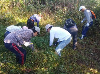 繁茂しているタデやスゲ類をかき分け
