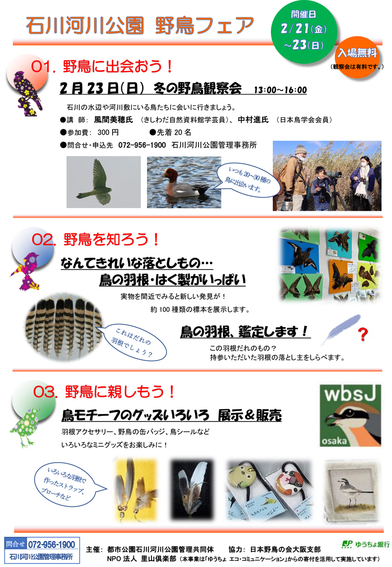 鳥っておもしろ！！石川河川公園「野鳥フェア2025」チラシ裏面
