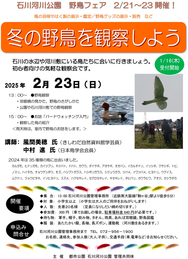 「冬の野鳥を観察しよう」チラシ画像