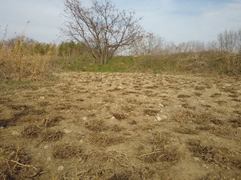 2つの小山がほぼなくなりました
