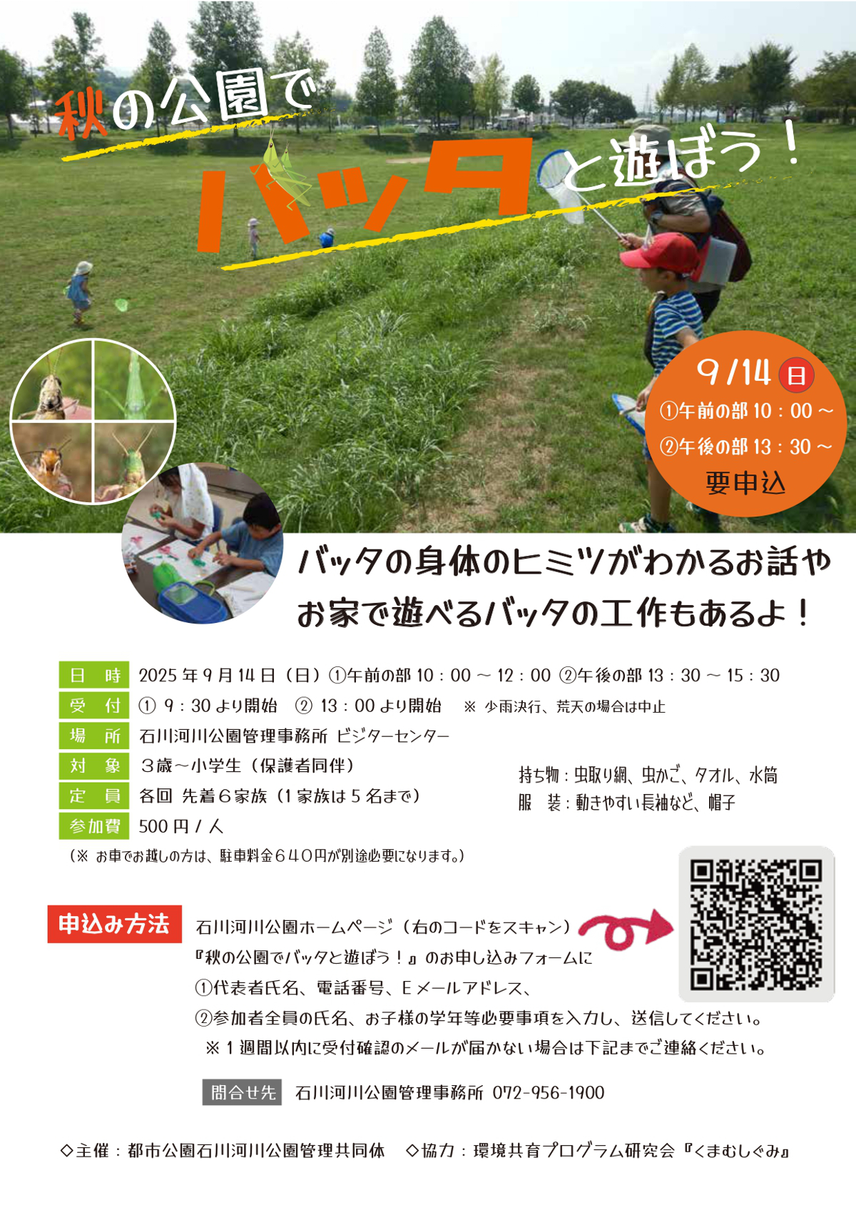 秋の公園でバッタと遊ぼう!　公園の原っぱでバッタとりをしよう バッタのヒミツのお話や工作もあるよ