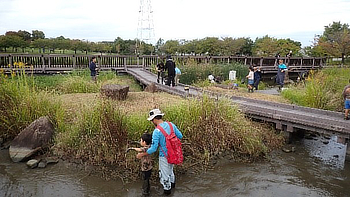 池の泥の中に踏み込んで行く子もいれば、桟橋から網を伸ばしてみたりしていました