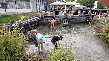 見えている生き物を目指して徐々に池の中へ入っていきました