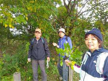 自然史博物館の梅原氏の助言