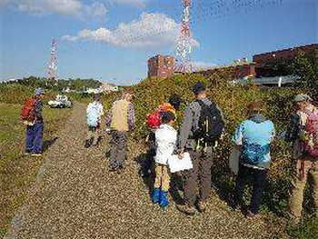 オトコエシの解説