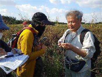 エノコログサやイヌホオズキの見分け方や、雑種の外来オナモミなどを講師に教わり