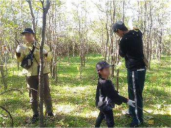 木に這い登ったクズのツルをとっています