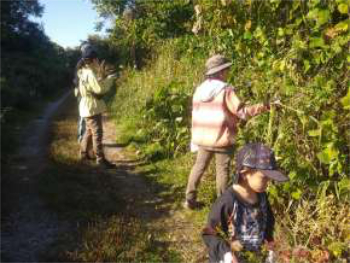 河川敷を歩いて飾りになる草花を思い思いに採取