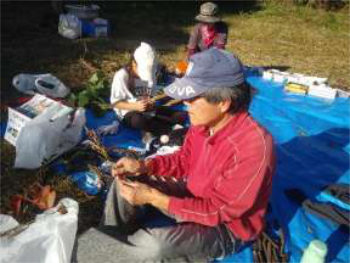 いよいよ飾り付けです