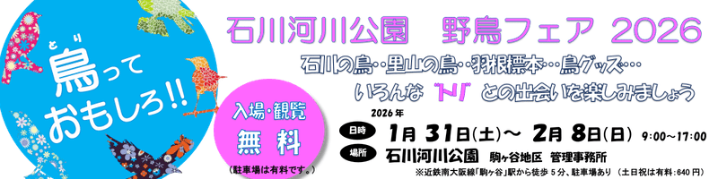 鳥っておもしろ！！石川河川公園「野鳥フェア2026」