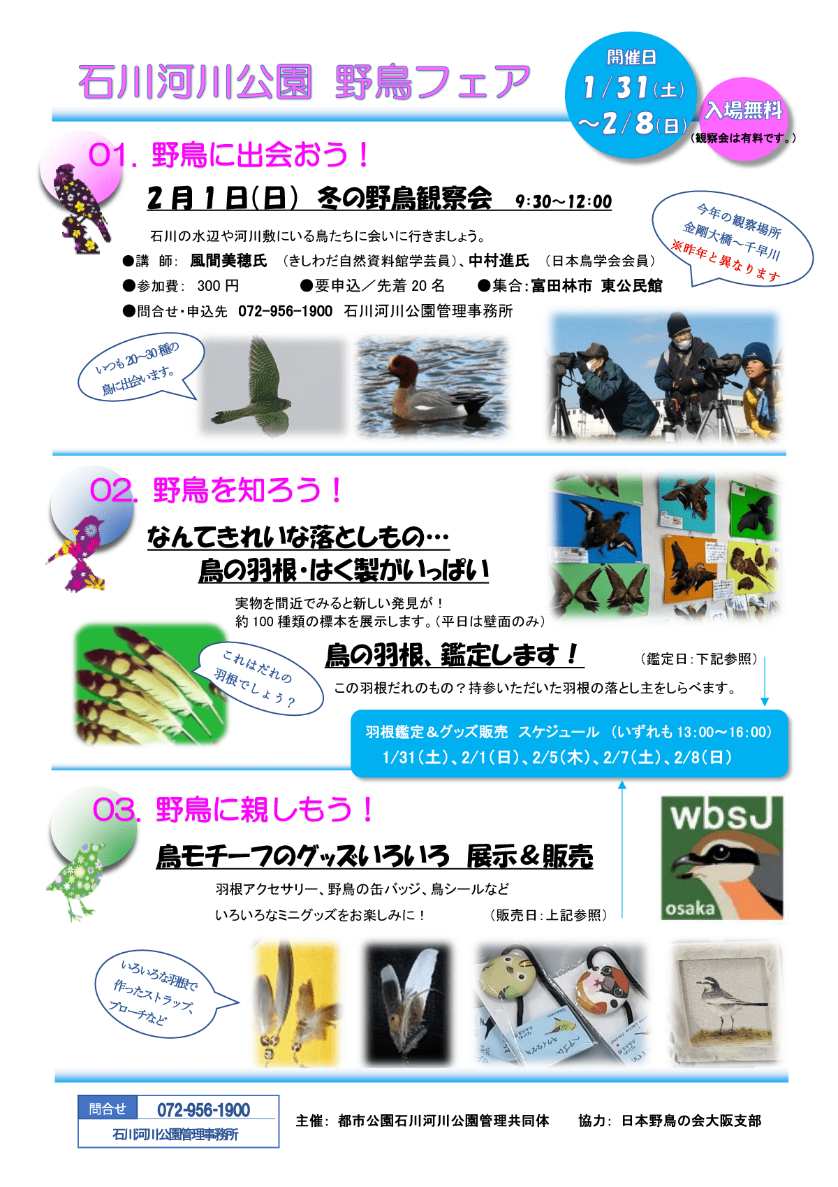 鳥っておもしろ！！石川河川公園「野鳥フェア2026」チラシ裏面