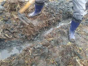 掘り進んだ水路