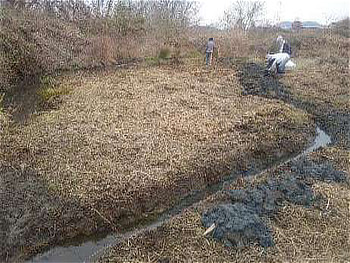 上流から下流まで水路を水が流れています