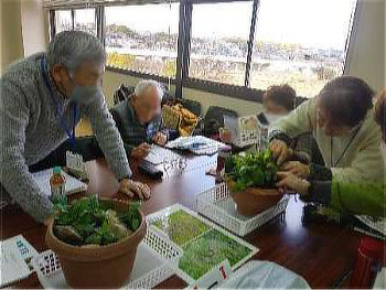 ミゾコウジュを確かめる参加者