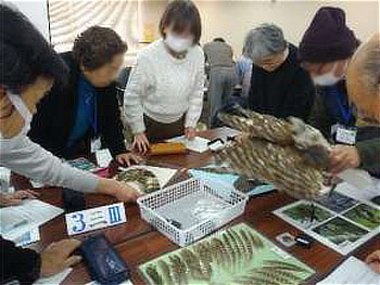 フクロウ類の羽根を確かめる参加者