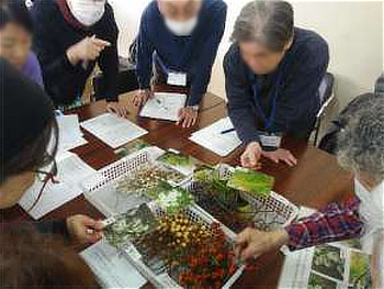 木の実の花の写真を確かめる参加者