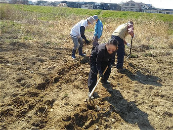 大きな石を取り除き