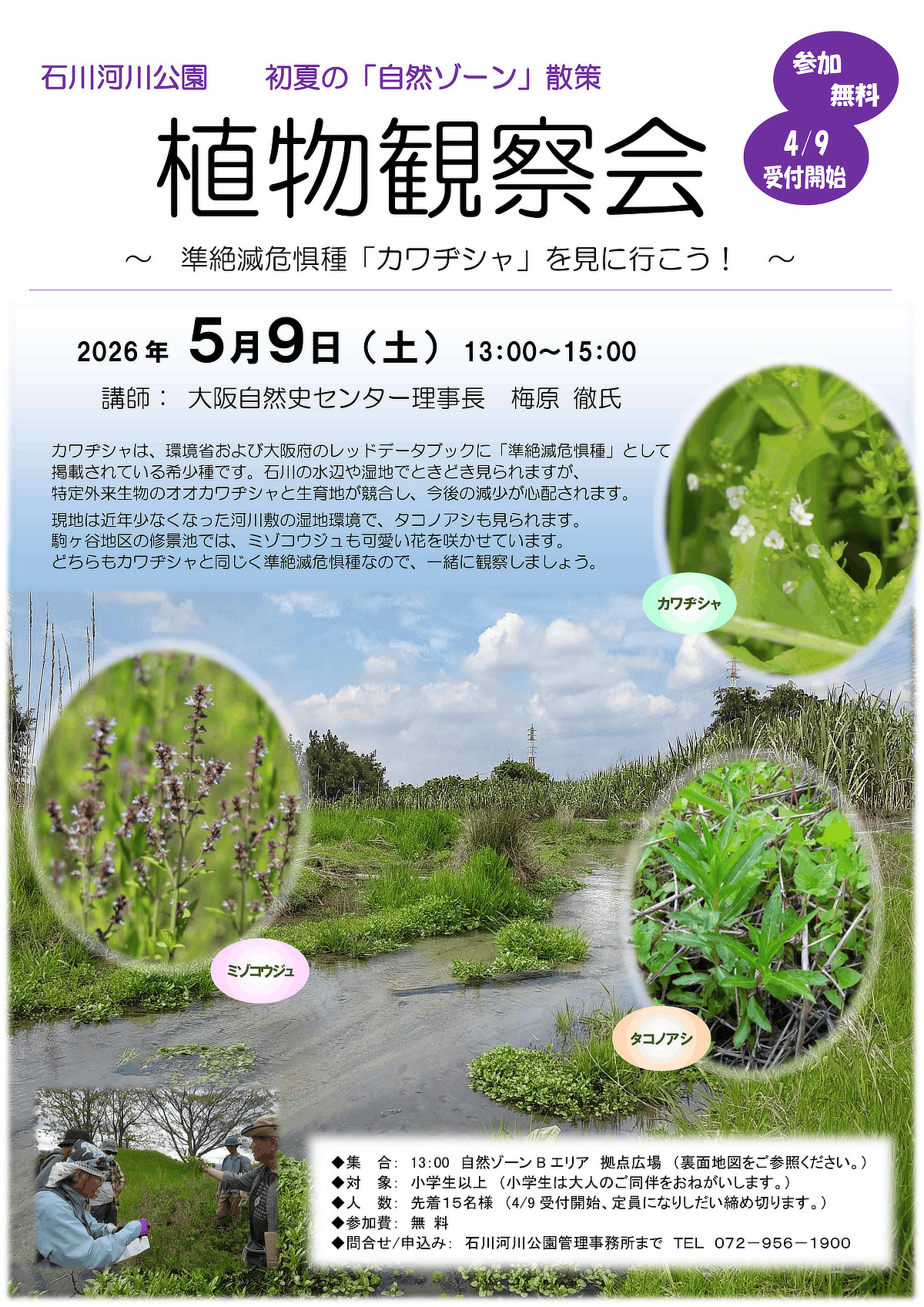 石川河公園 自然ゾーン 植物観察会 準絶滅危惧種「カワヂシャ」を見に行こう!チラシ画像(クリックして別ウインドウにて拡大表示)
