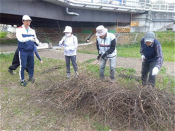 伐採枝の整理をしている様子