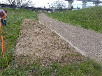 あっという間に終了(綺麗さっぱり)