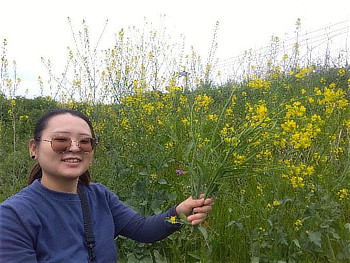 春の花々を観察・記録