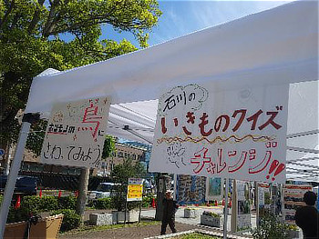 ブースの屋根に「石川の生き物クイズ」と「鳥にさわってみよう」のチラシ