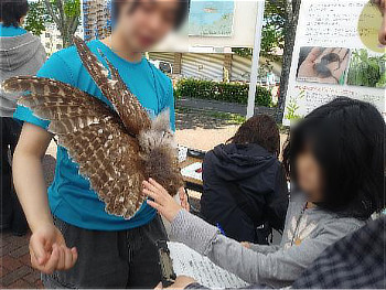 標本をたしかめる参加者の方と手伝ってくれた学生さん
