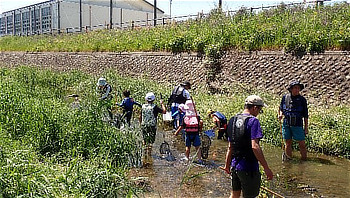 川での採集される参加者のみなさん