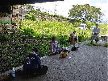調査中に橋の下の影で休憩し、水分補給をする参加者たち