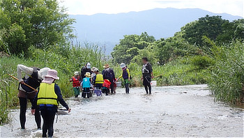石川中流の川の中で、生き物を探しながら活動する参加者たちの様子