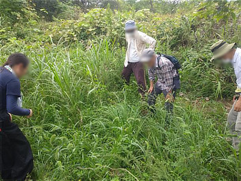 茂みの中に屈み込み、足元の草を確認しながら除草作業を行う参加者たち
