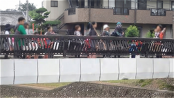 橋の上に並び、遠くの山や川の源流方向を眺める参加者とスタッフ