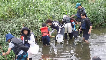 川の草むら際で、網を使ってガサガサや魚とりを楽しむ親子