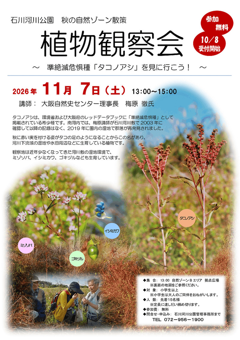 石川河公園 自然ゾーン 植物観察会 準絶滅危惧種「タコノアシ」を見に行こう!チラシ画像