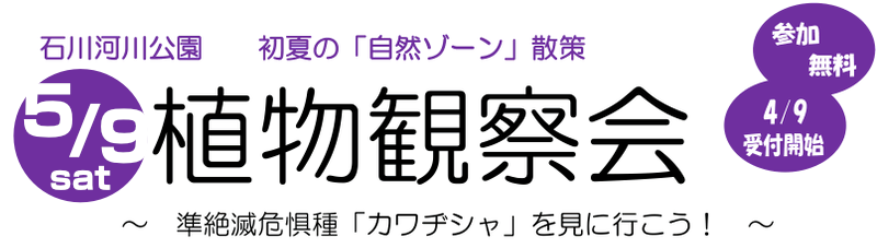 5月9日の「植物観察会」バナー