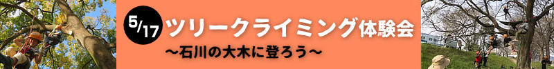5月17日の「ツリークライミング」バナー